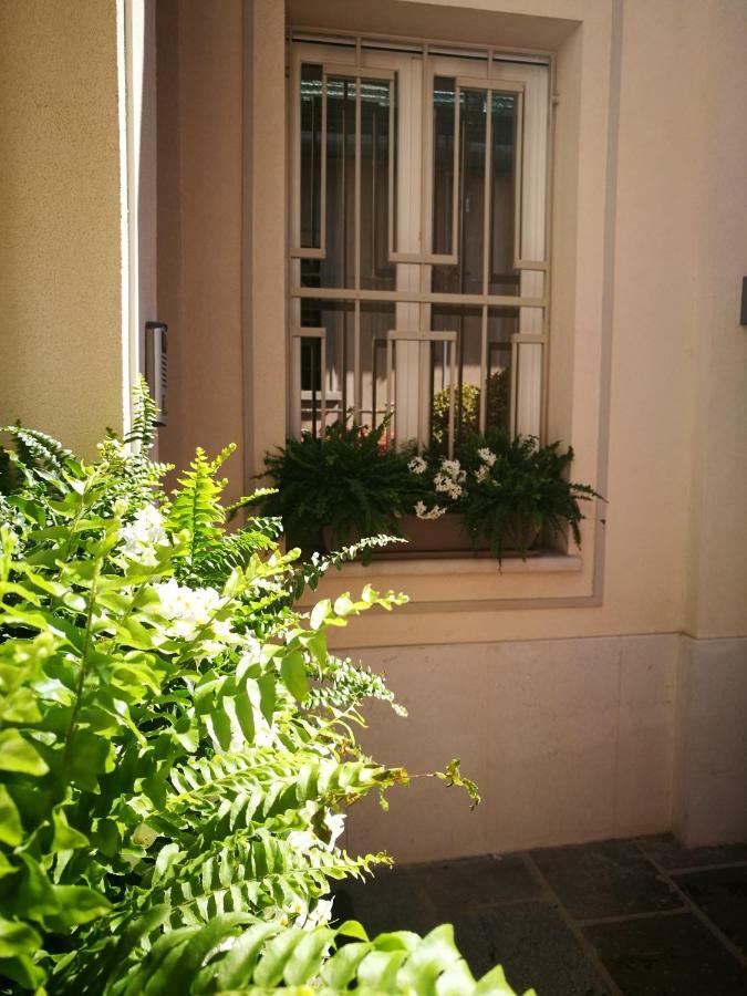 Bed & Breakfast Officina Tesini Guest