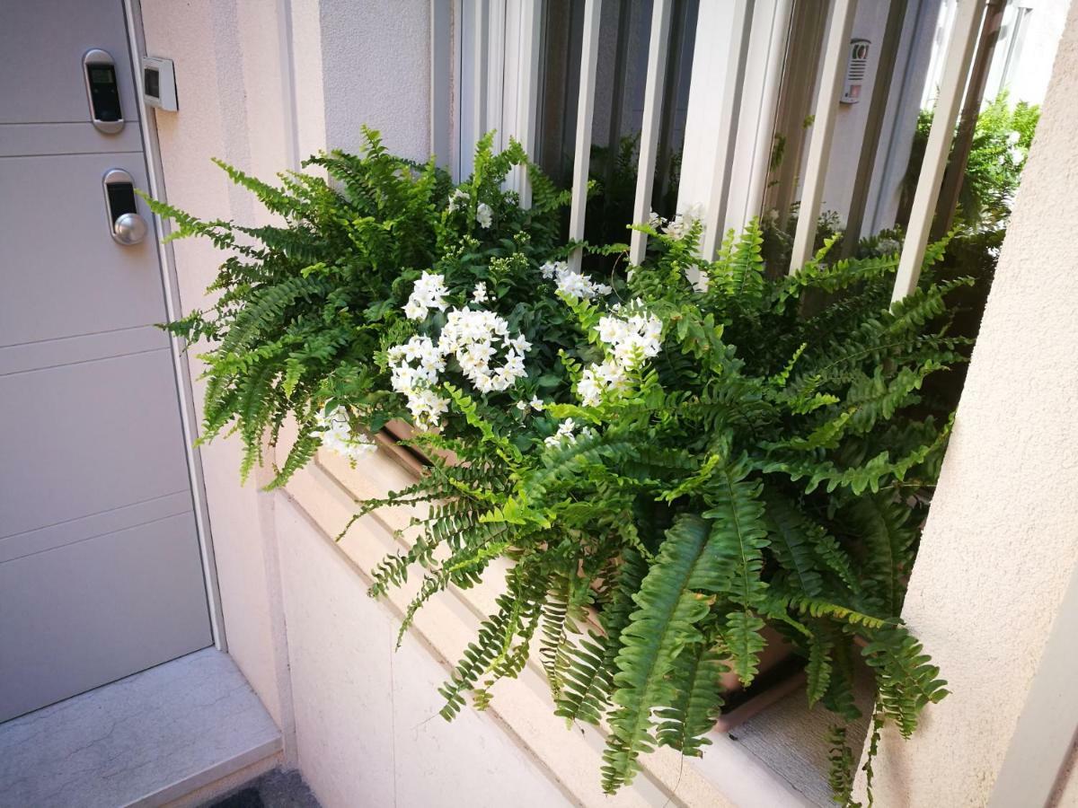 Bed & Breakfast Officina Tesini Guest 2*